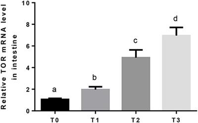 Hydrolysable Tannin Supplementation Alters Digestibility and Utilization of Dietary Protein, Lipid, and Carbohydrate in Grass Carp (Ctenopharyngodon idellus)